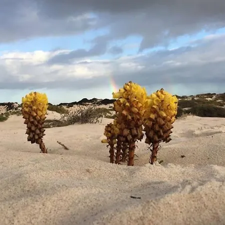 Pola Marinas Villa Playa Blanca (Lanzarote)