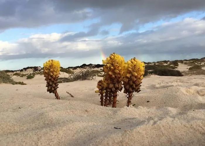 Pola Marinas Βίλα Πλάγια Μπλάνκα